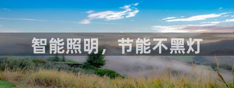 云顶集团有限公司简介概况