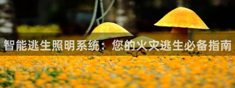云顶国际服和端游互通吗