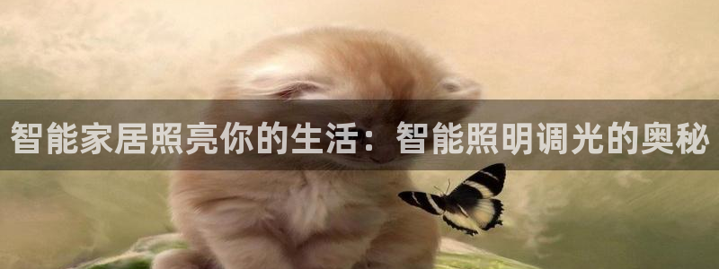 云顶集团董事长林东简历