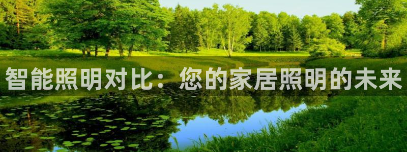 云顶网络游戏平台
