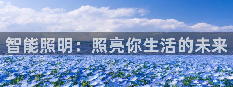 云顶手游国际