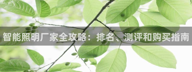 云顶国际app怎么样
