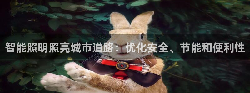 云顶国际logo