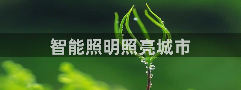 云顶国际公馆多少层楼