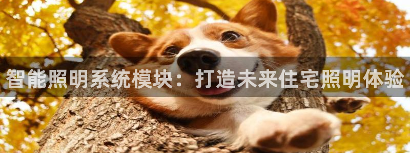 云顶国际黑不黑