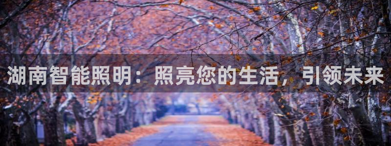云顶国际培训机构