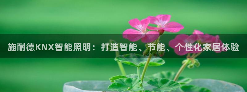 云顶国际ktv会所电话