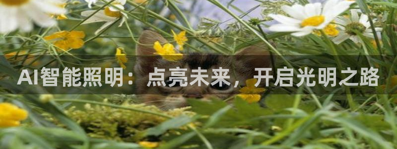 云顶集团3118app功能