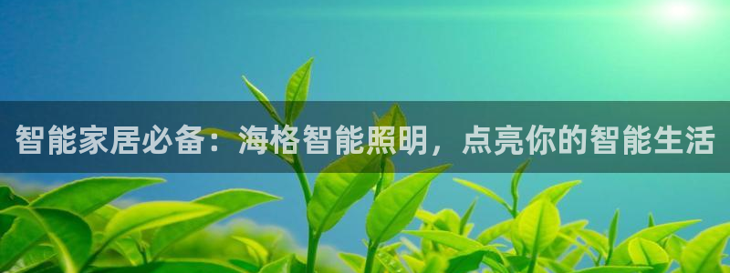 云顶国际公馆户型图