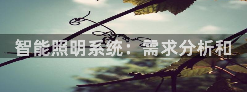 云顶国际服更新s11了吗