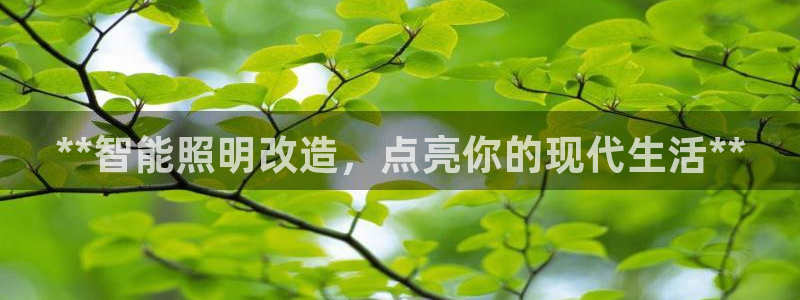 云顶集团3118