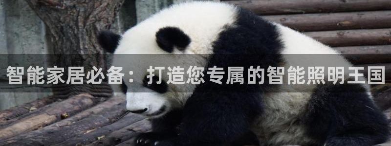 云顶国际公馆多少层楼