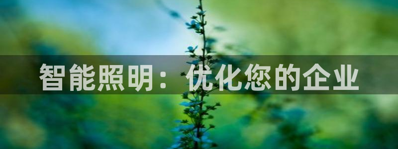 云顶国际集团官网招聘