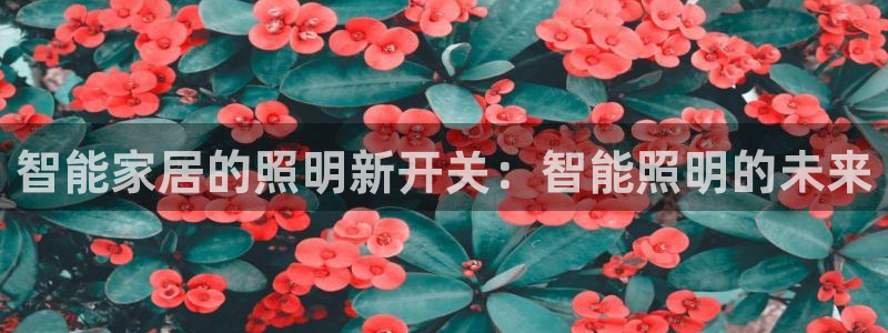 云顶集团有限公司简介资料