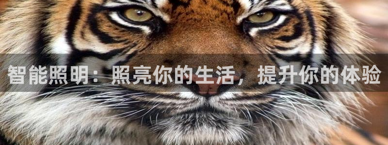 云顶电玩城游戏官网