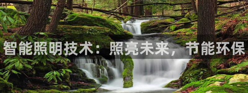 云顶国际游戏平台app