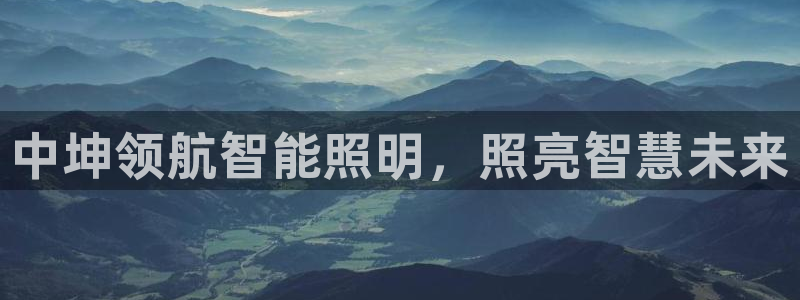 云顶集团老总简介