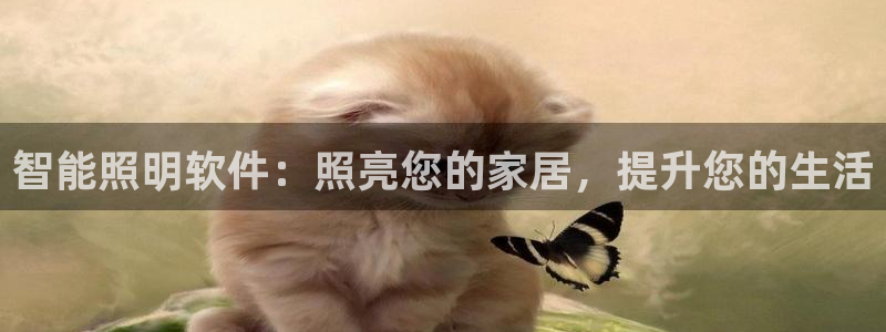 云顶国际服什么时候更新赛季