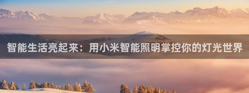 云顶国际服账号