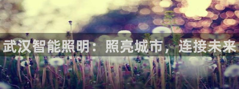 云顶国际电子游戏怎么玩