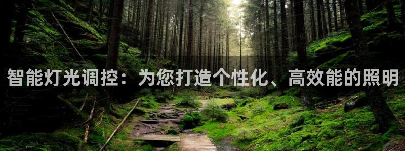 云顶国际房地产有限公司