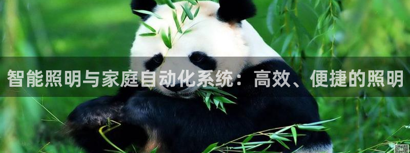 4008浏览器云顶下载