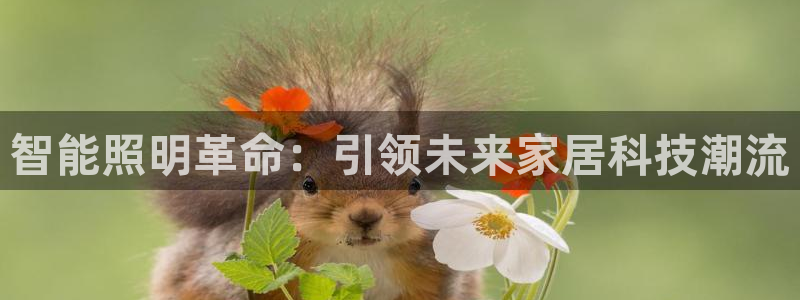 云顶国际服s10什么时候更新