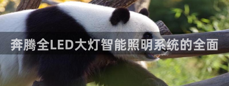 云顶国际app下载安装