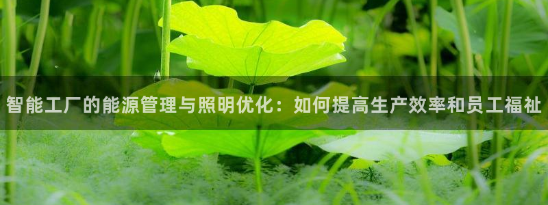 云顶国际酒店老板是谁