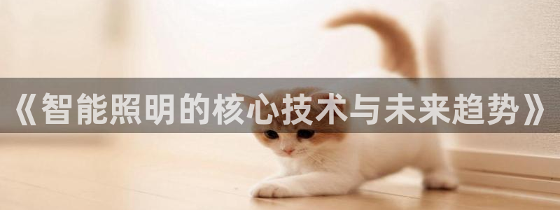云顶国际中国官方网站下载