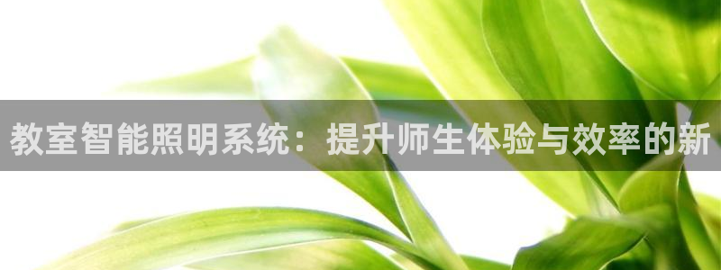 云顶国际网上平台