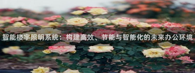 云顶电子游戏app