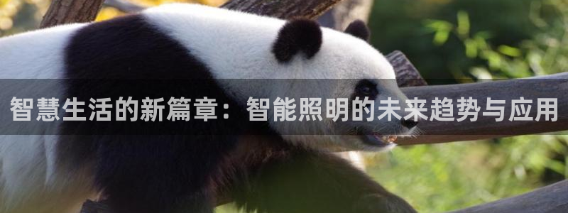 云顶国际二手房