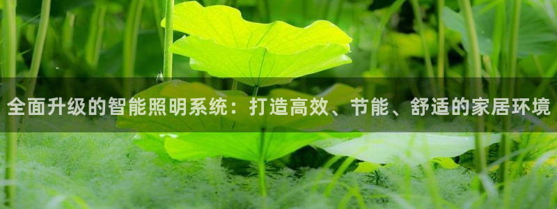 云顶国际公馆是公寓吗多少钱