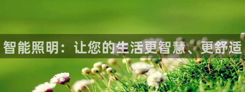 云顶国际yd333团体官网