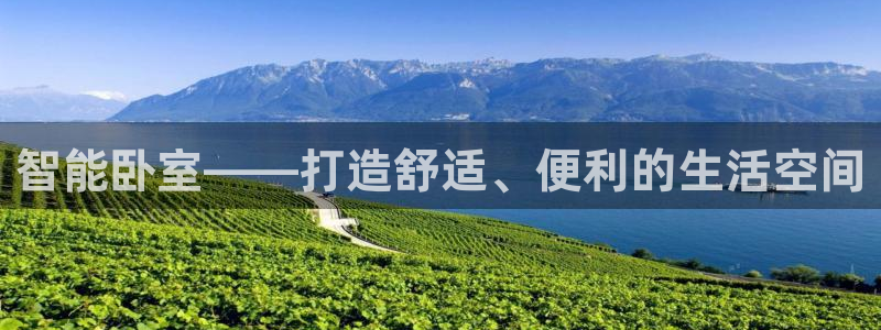 云顶国际停车费