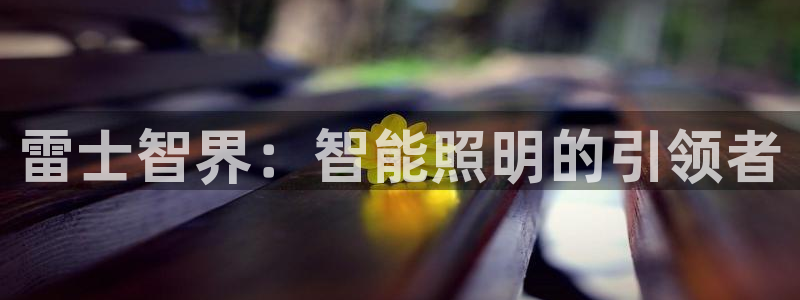 云顶国际电子注册平台官网